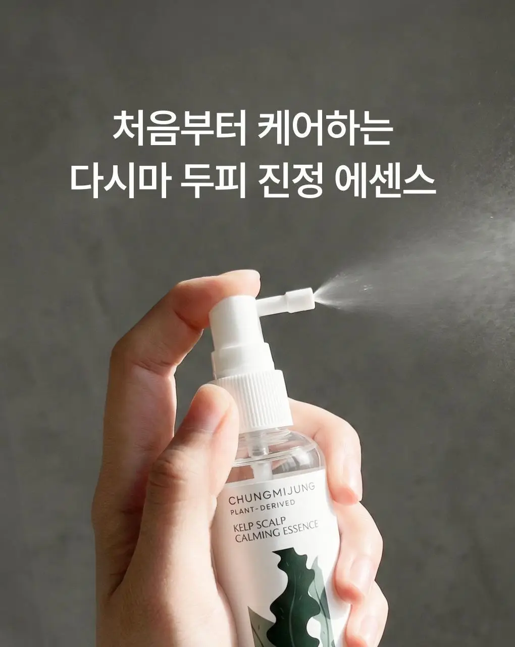 [성분천재/두피진정] 청미정 다시마 두피에센스 80ml 상세페이지 10